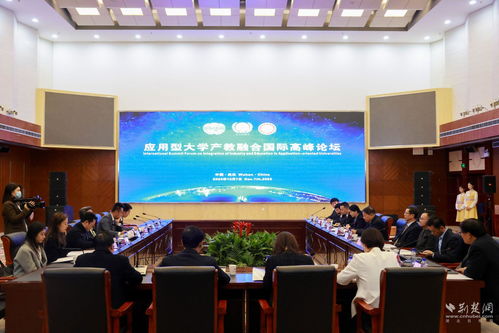 武昌理工学院举行应用型大学产教融合国际高峰论坛