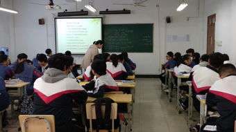 明知山有虎,偏向虎山行 教学法大赛基础科英语项目组备战纪实