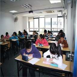 睿达国际教育公司新闻 公司地址