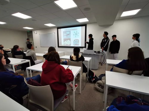 海外课堂 ziaer在爱尔兰 第二章 相聚孔子学院 尽享中爱文化盛宴